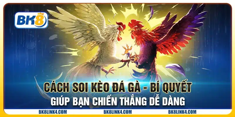Cách soi kèo đá gà - Bí quyết giúp bạn chiến thắng dễ dàng
