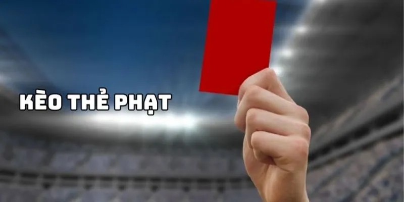 Tổng hợp những yếu tố ảnh hưởng đến thẻ phạt